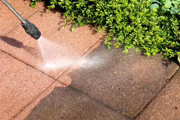 Roof Power Washing Services in Alderwood Manor, WA